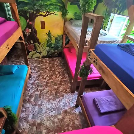 Oasis Hostel Puerto Viejo de Talamanca Ngoại thất bức ảnh