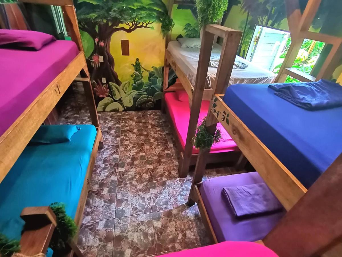 Oasis Hostel Puerto Viejo de Talamanca Ngoại thất bức ảnh