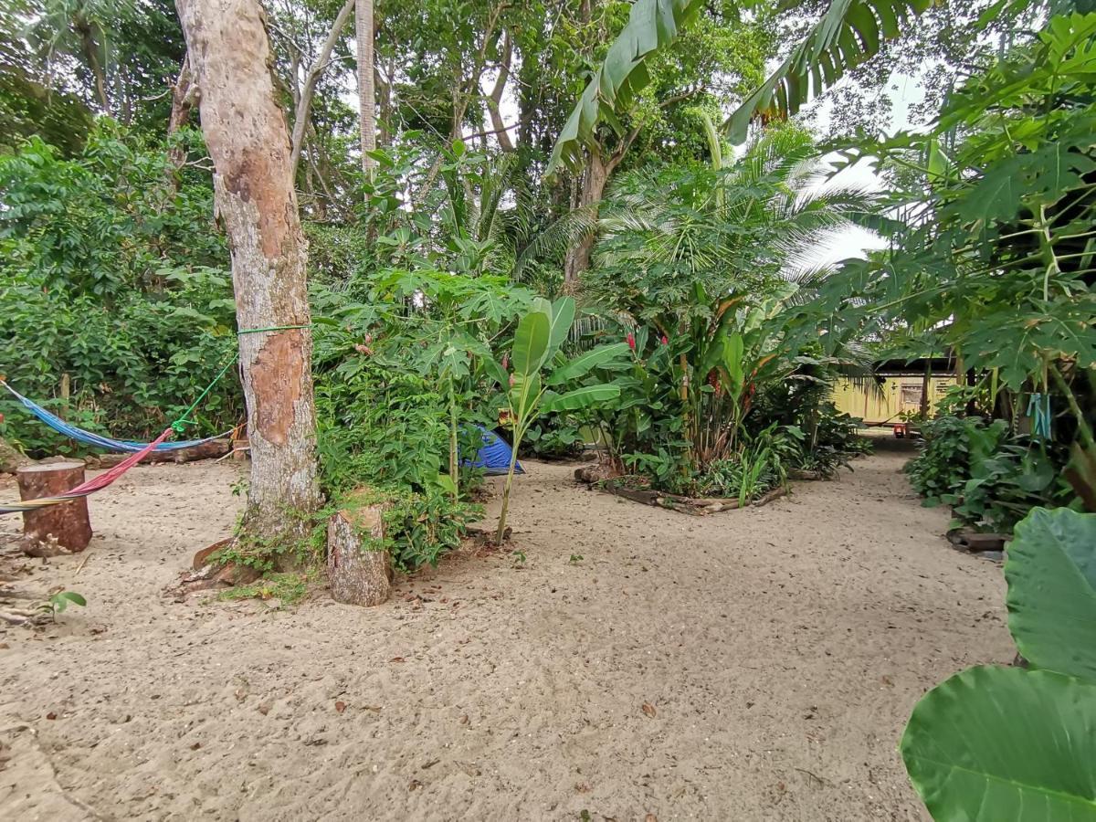 Oasis Hostel Puerto Viejo de Talamanca Ngoại thất bức ảnh