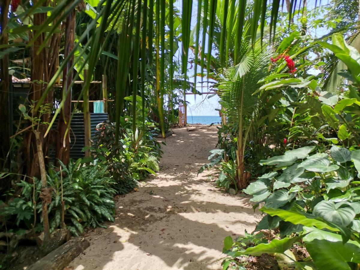 Oasis Hostel Puerto Viejo de Talamanca Ngoại thất bức ảnh