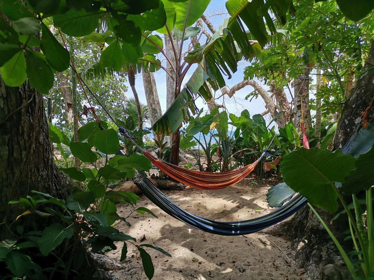 Oasis Hostel Puerto Viejo de Talamanca Ngoại thất bức ảnh