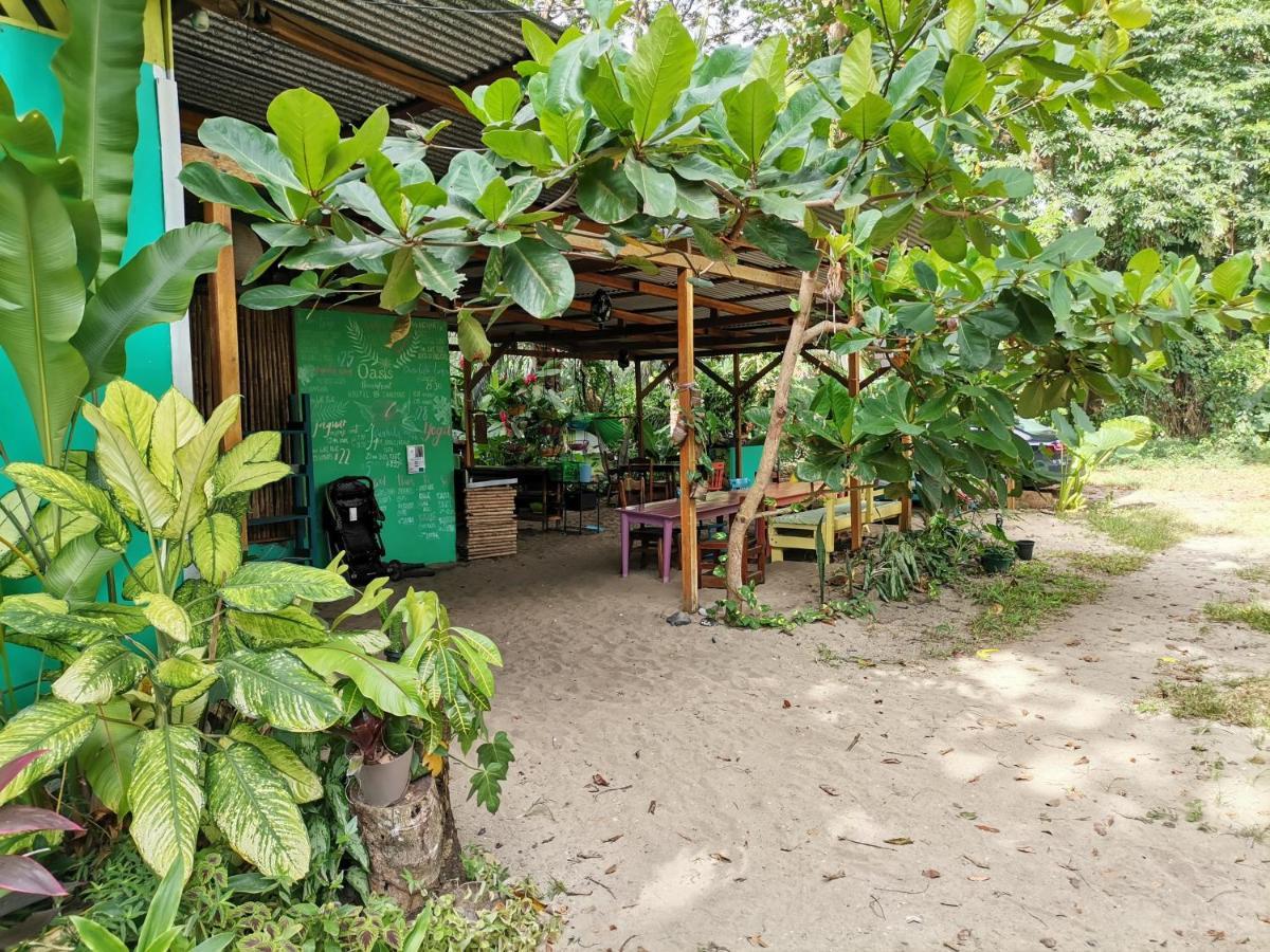 Oasis Hostel Puerto Viejo de Talamanca Ngoại thất bức ảnh