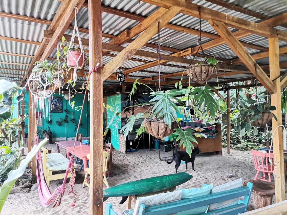 Oasis Hostel Puerto Viejo de Talamanca Ngoại thất bức ảnh