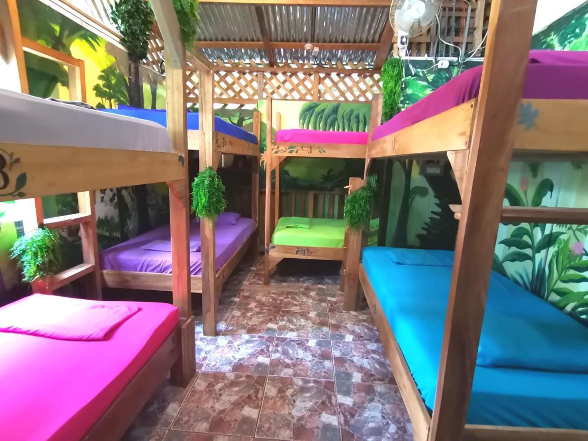 Oasis Hostel Puerto Viejo de Talamanca Ngoại thất bức ảnh