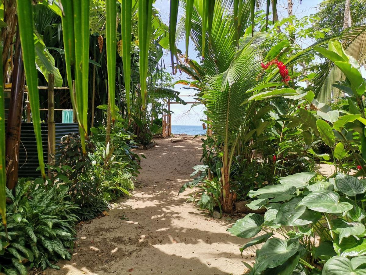 Oasis Hostel Puerto Viejo de Talamanca Ngoại thất bức ảnh