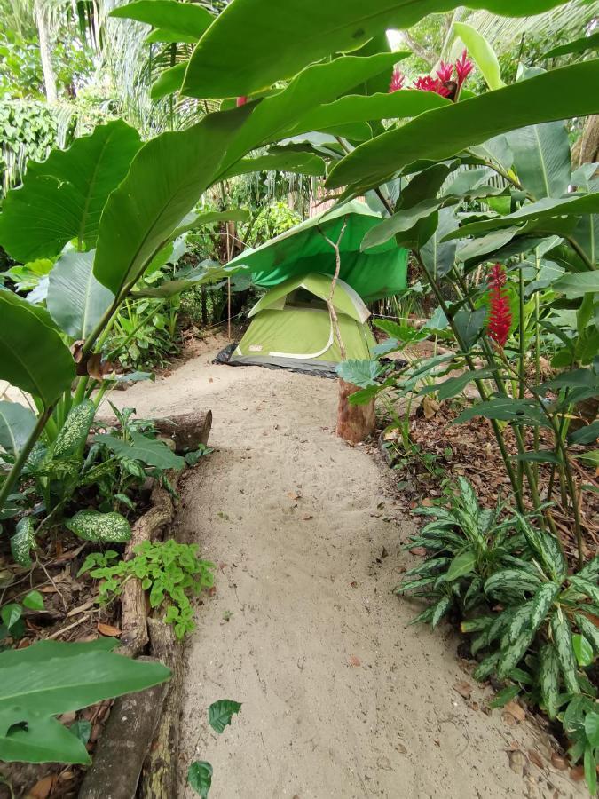 Oasis Hostel Puerto Viejo de Talamanca Ngoại thất bức ảnh