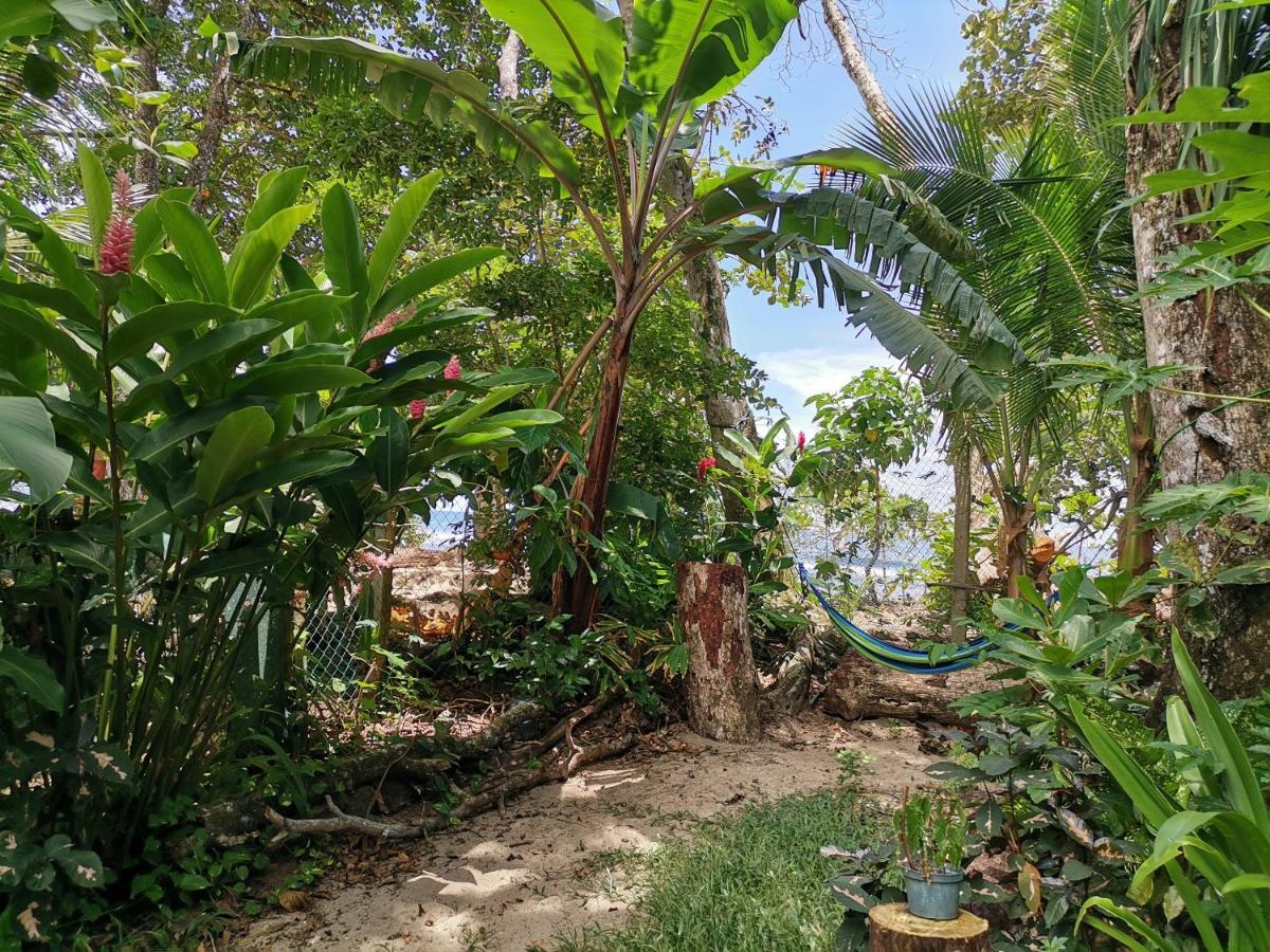 Oasis Hostel Puerto Viejo de Talamanca Ngoại thất bức ảnh