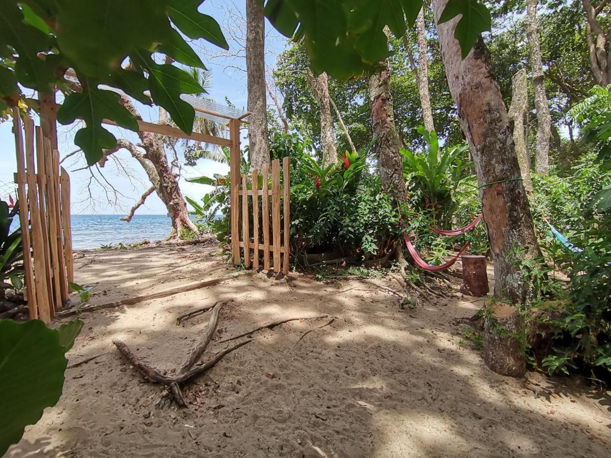 Oasis Hostel Puerto Viejo de Talamanca Ngoại thất bức ảnh