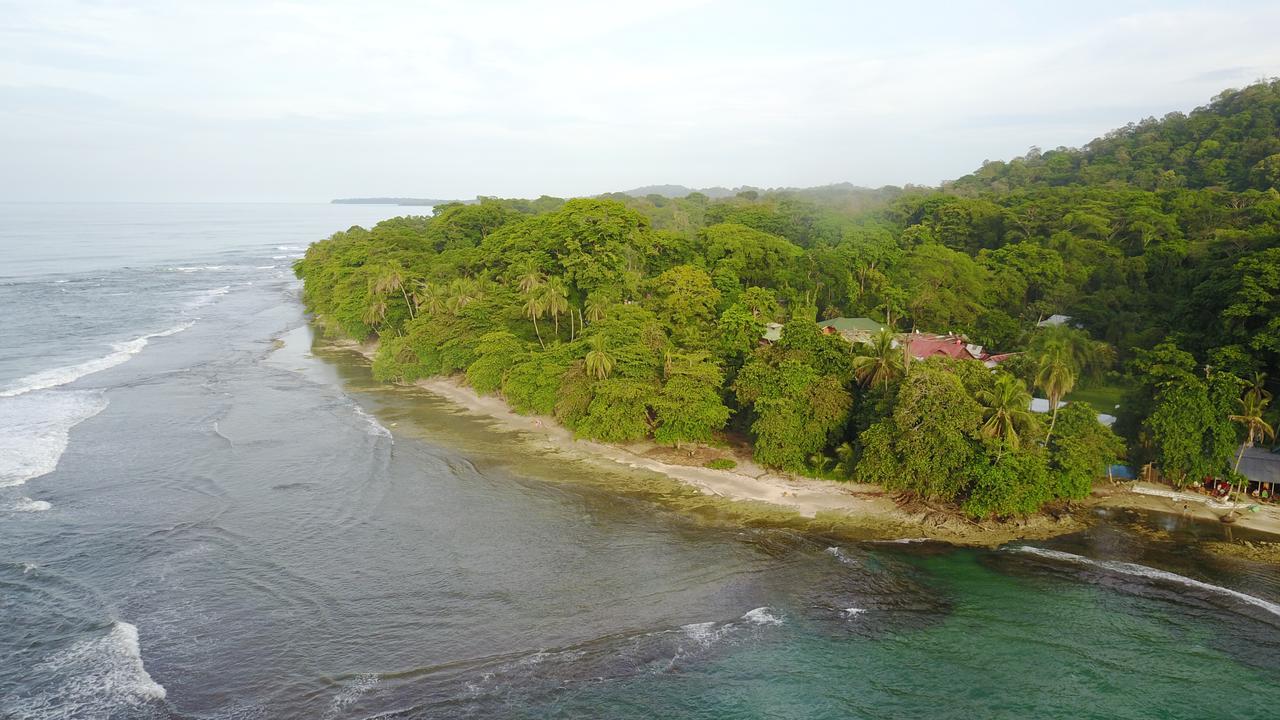 Oasis Hostel Puerto Viejo de Talamanca Ngoại thất bức ảnh
