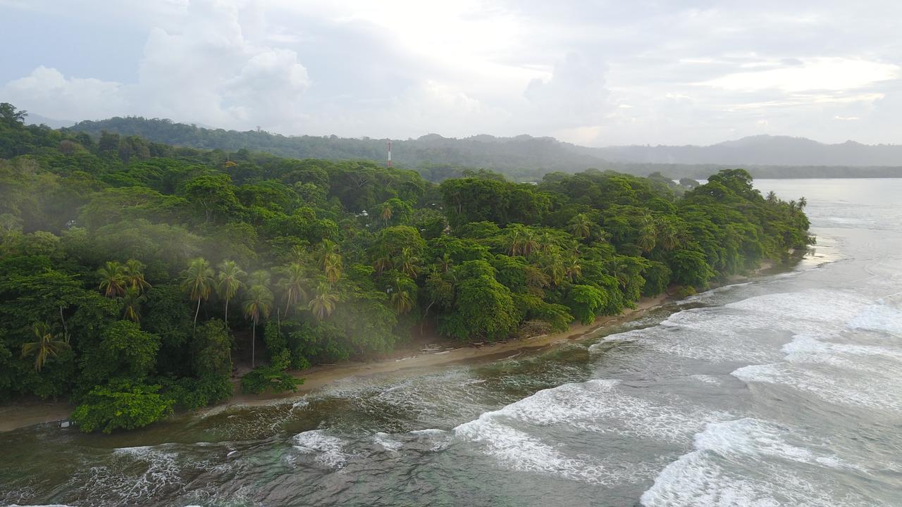 Oasis Hostel Puerto Viejo de Talamanca Ngoại thất bức ảnh
