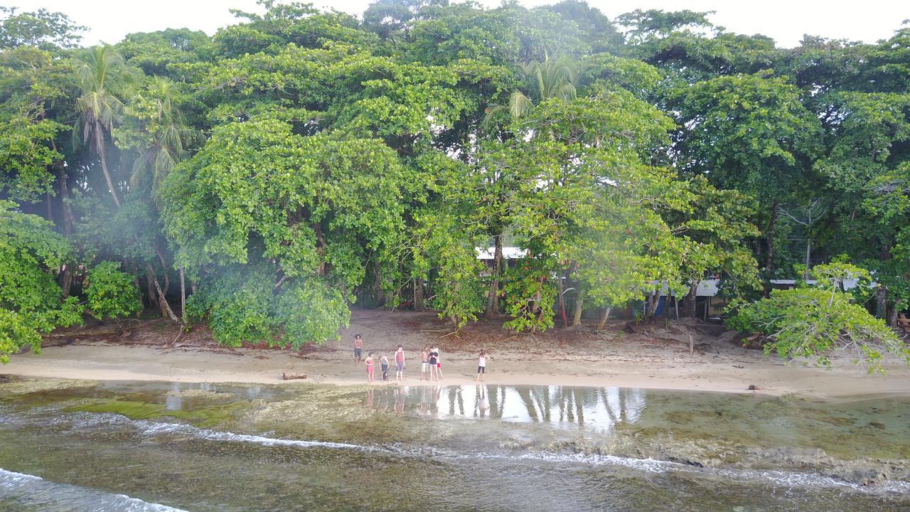 Oasis Hostel Puerto Viejo de Talamanca Ngoại thất bức ảnh