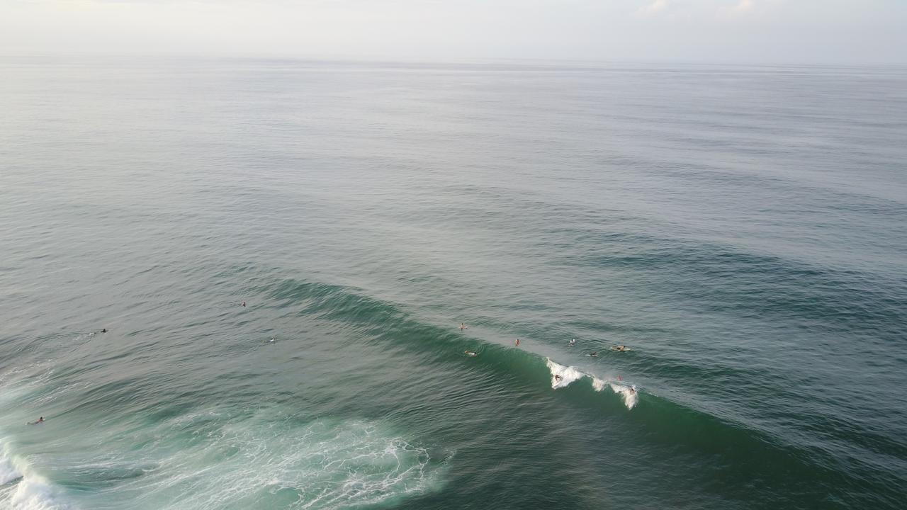 Oasis Hostel Puerto Viejo de Talamanca Ngoại thất bức ảnh