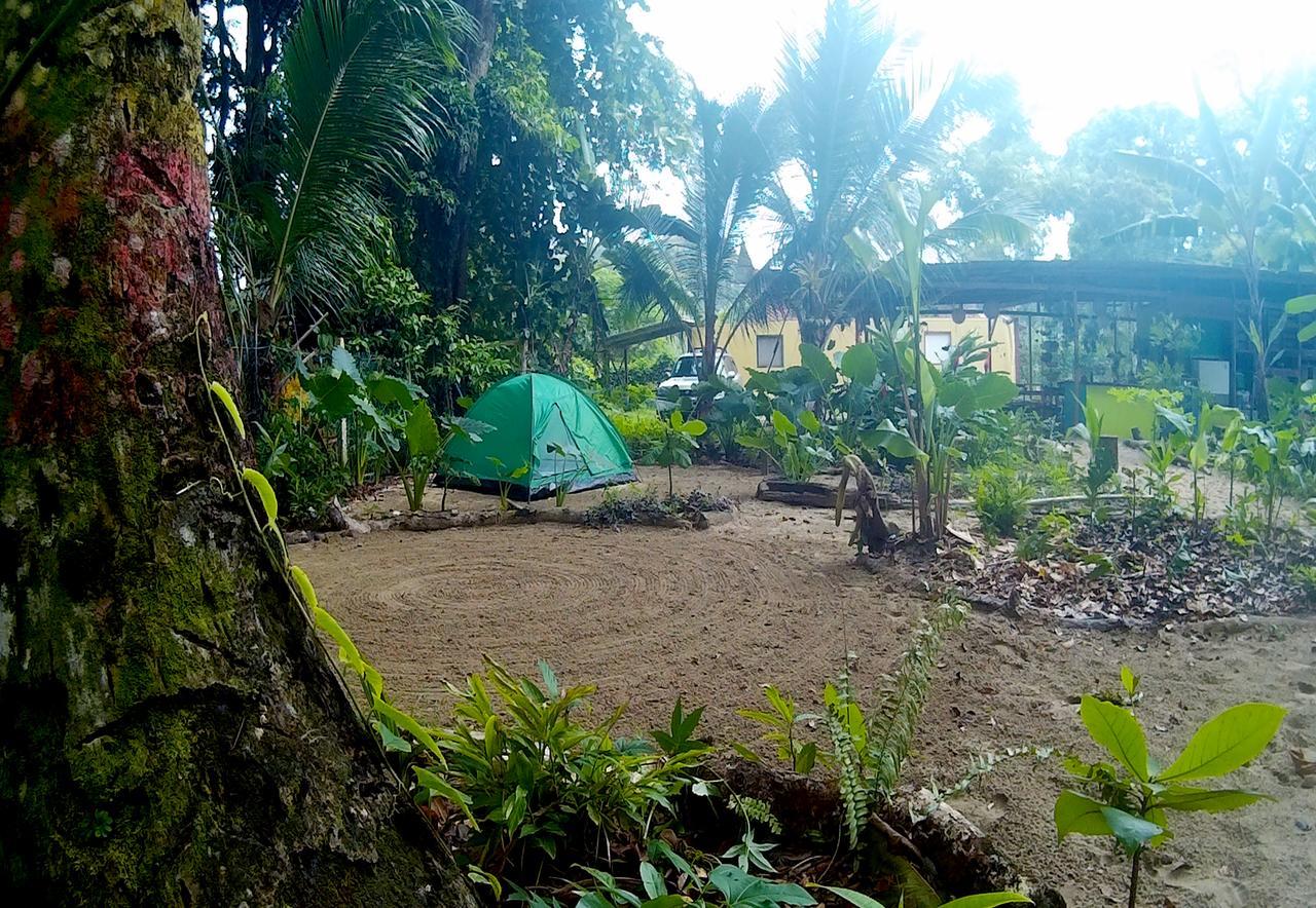 Oasis Hostel Puerto Viejo de Talamanca Ngoại thất bức ảnh