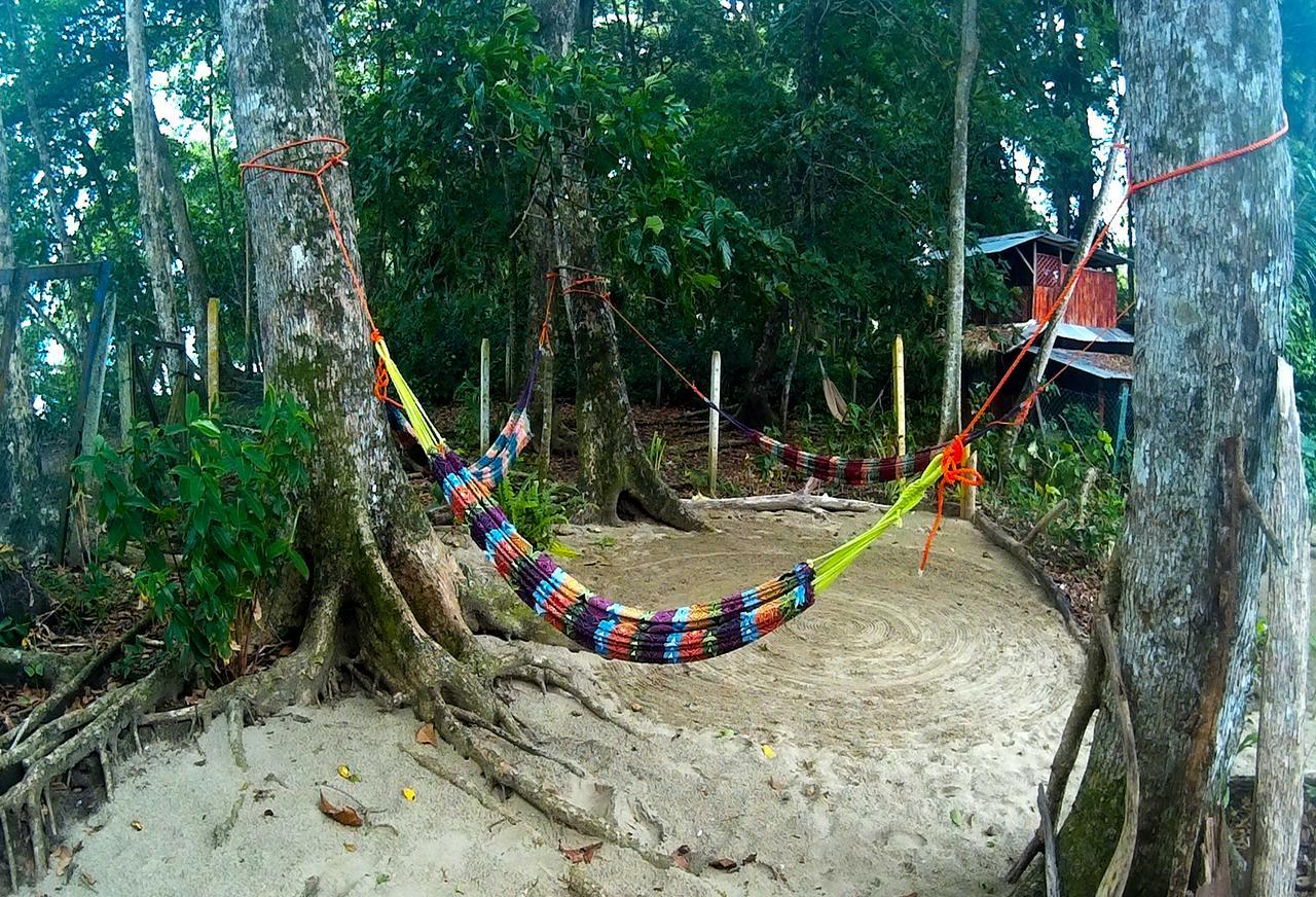 Oasis Hostel Puerto Viejo de Talamanca Ngoại thất bức ảnh