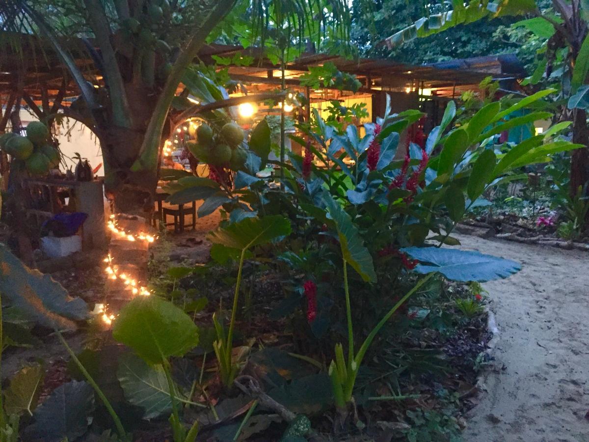 Oasis Hostel Puerto Viejo de Talamanca Ngoại thất bức ảnh