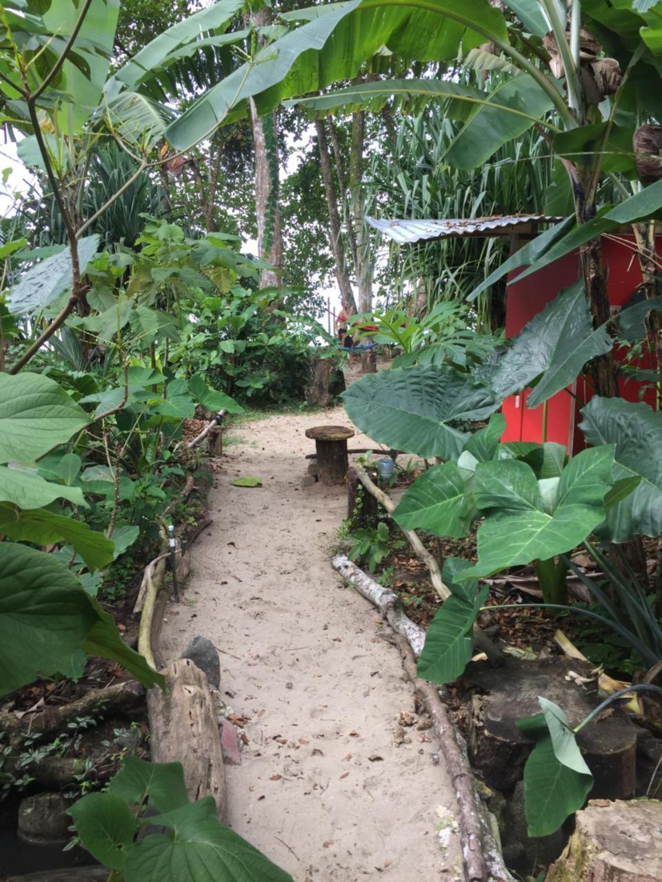 Oasis Hostel Puerto Viejo de Talamanca Ngoại thất bức ảnh