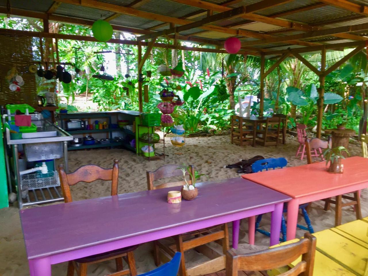 Oasis Hostel Puerto Viejo de Talamanca Ngoại thất bức ảnh