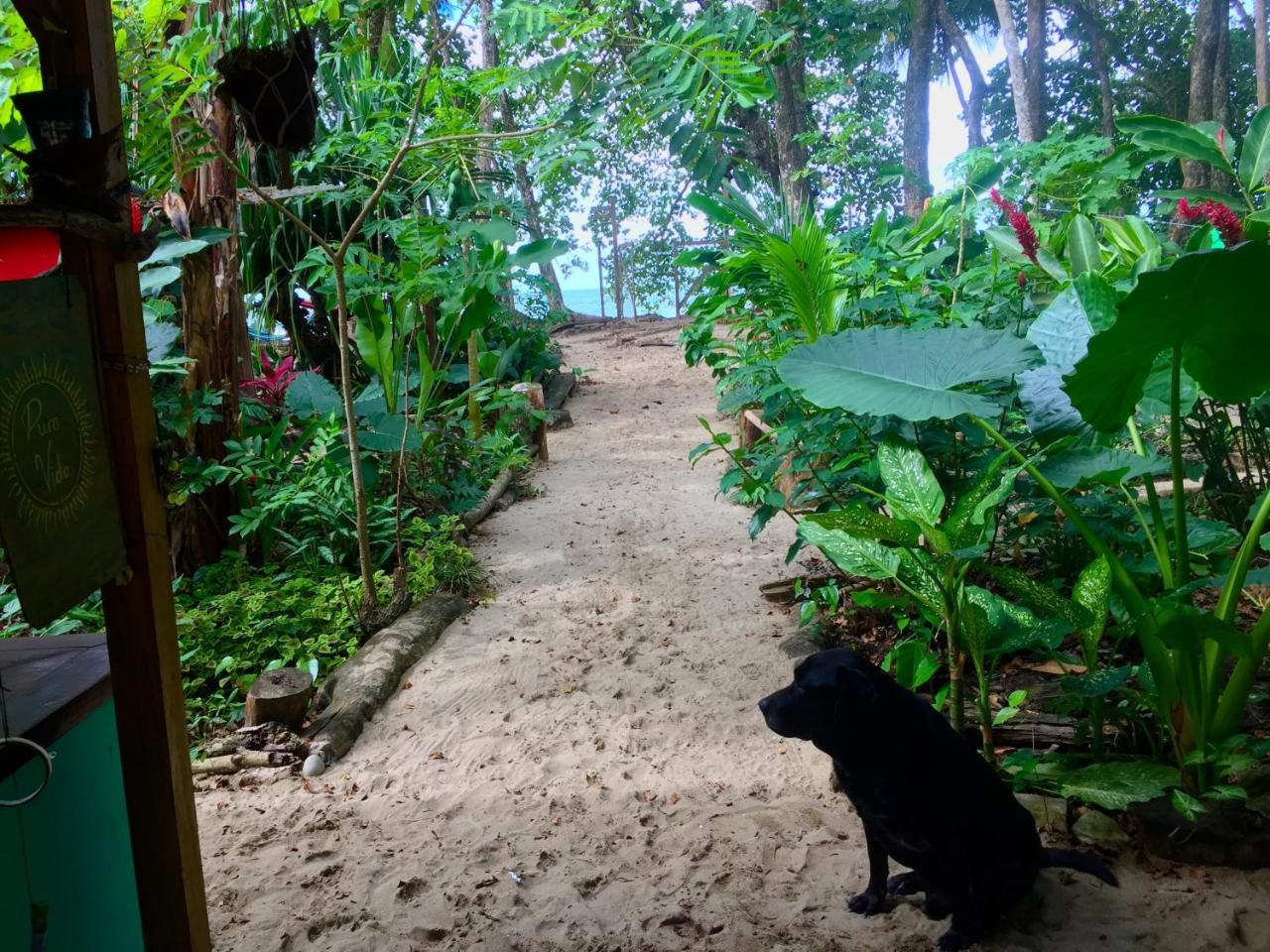 Oasis Hostel Puerto Viejo de Talamanca Ngoại thất bức ảnh