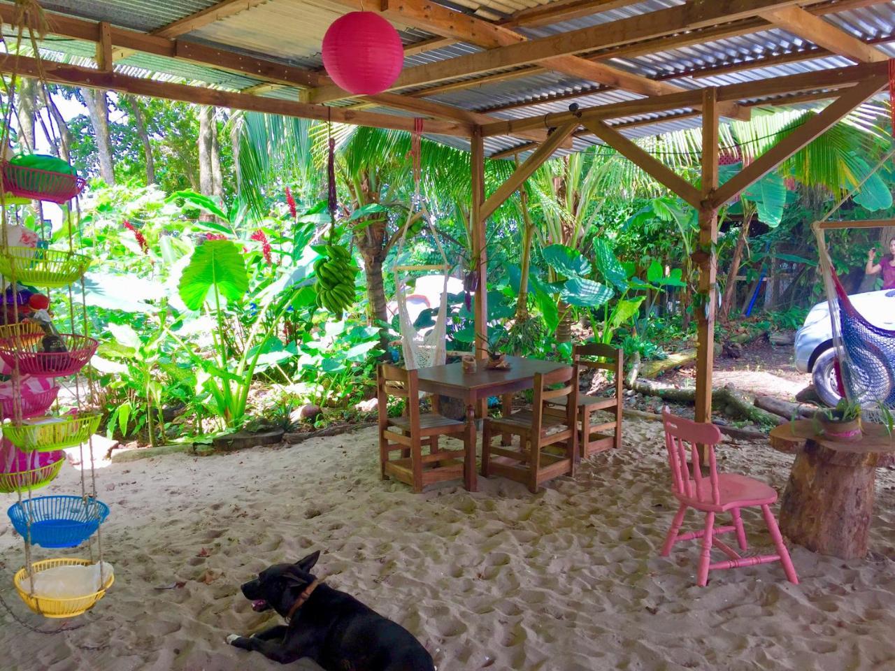 Oasis Hostel Puerto Viejo de Talamanca Ngoại thất bức ảnh