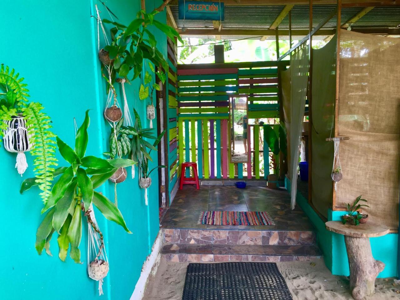 Oasis Hostel Puerto Viejo de Talamanca Ngoại thất bức ảnh