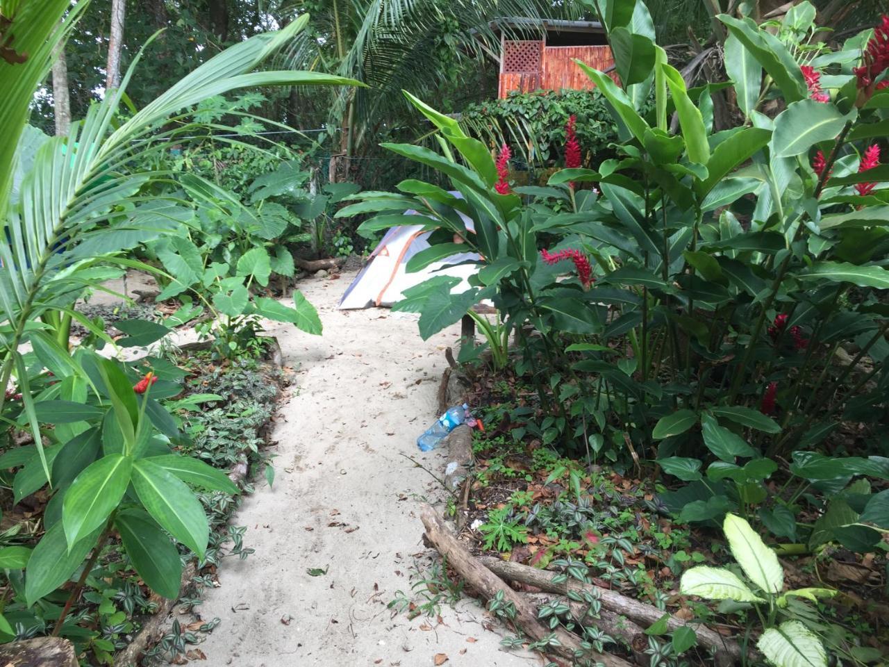 Oasis Hostel Puerto Viejo de Talamanca Ngoại thất bức ảnh