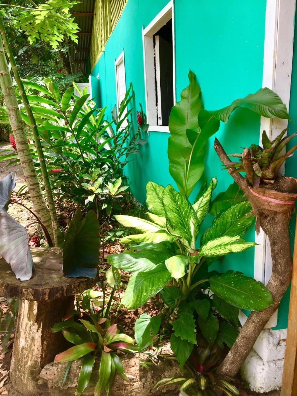 Oasis Hostel Puerto Viejo de Talamanca Ngoại thất bức ảnh