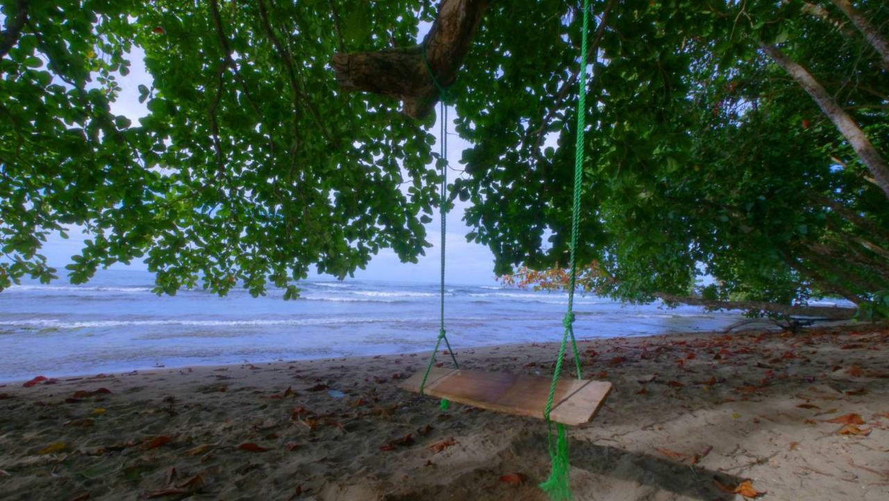 Oasis Hostel Puerto Viejo de Talamanca Ngoại thất bức ảnh
